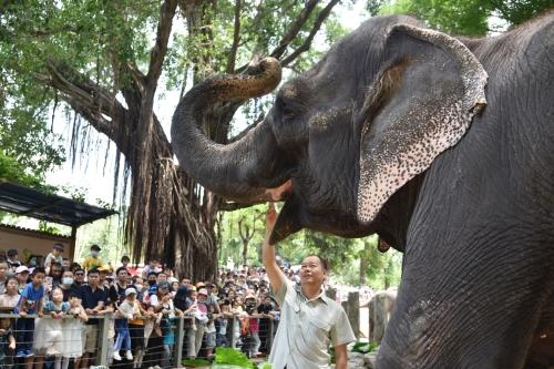 五一假期首日，深圳野生動物園動物科普講解吸引游客